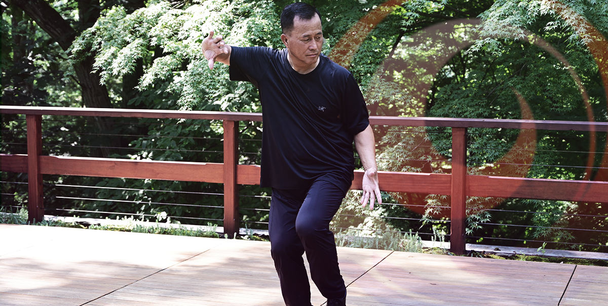 Ren Guangyi Performing Chen Tai Chi 19 Form