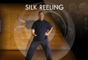 Silk Reeling Qigong