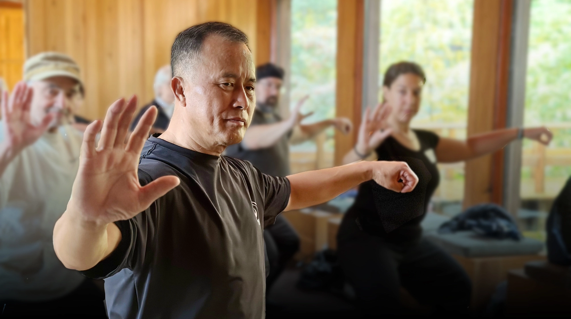 Transitions in Tai Chi - Chi Force